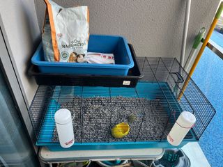 (Category: ) located in . Submitted by bankosh (Listing ID 1294642269, Image 1). Description: .
