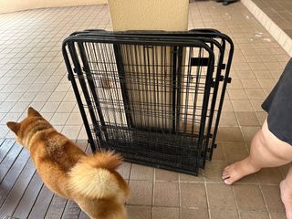 (Category: ) located in . Submitted by hayatefrank (Listing ID 1294760711, Image 1). Description: .