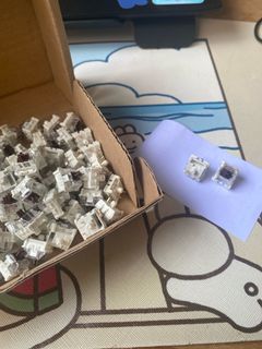 (Category: ) located in . Submitted by toomuchrobin (Listing ID 1294681717, Image 1). Description: .