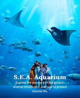 (Category: ) located in . Submitted by bhuvi17 (Listing ID 1294784290, Image 1). Description: .