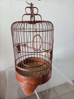 Brass Bird Cage Singapore  Stylish, Quality & Affordable