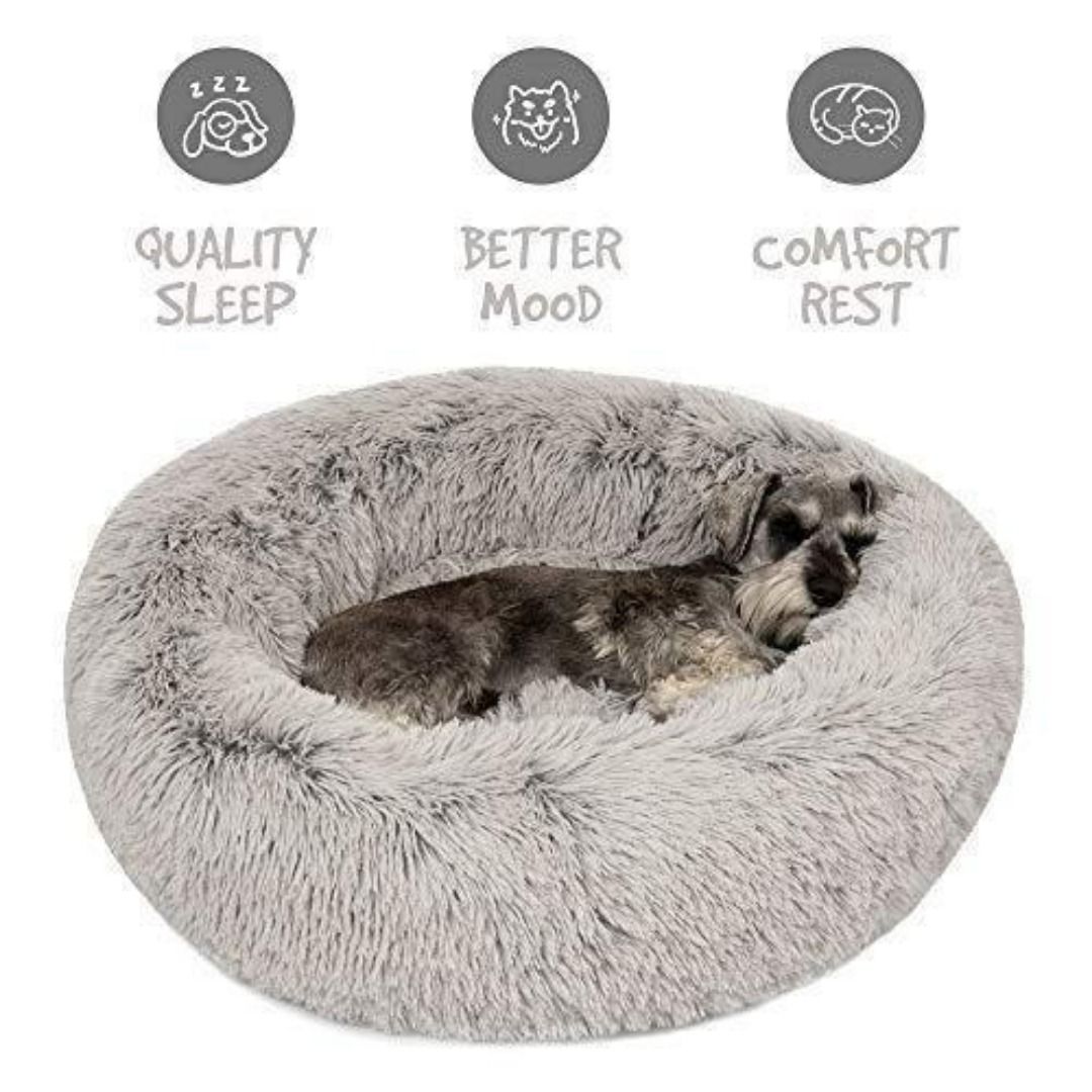Friends forever dog bed medium clearance