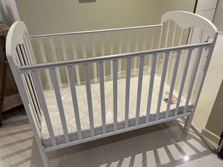 (Category: ) located in . Submitted by tree22 (Listing ID 1294891335, Image 1). Description: .