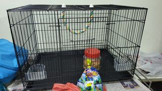 (Category: ) located in . Submitted by hoh1388 (Listing ID 1294936551, Image 1). Description: .