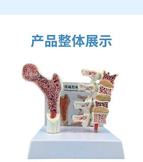 (Category: ) located in . Submitted by effier (Listing ID 1294901037, Image 1). Description: .