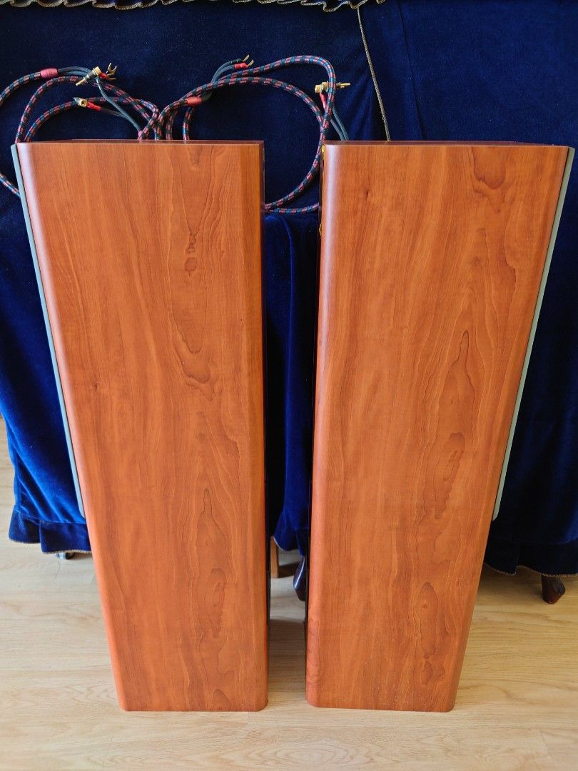 英國CELESTION F30 Speakers ( 座地喇叭)連CV-6 audioque 8尺線1對