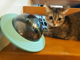 (Category: ) located in . Submitted by sarahwinks (Listing ID 1295112330, Image 1). Description: .
