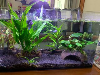 (Category: ) located in . Submitted by alexwui85 (Listing ID 1295116201, Image 1). Description: .