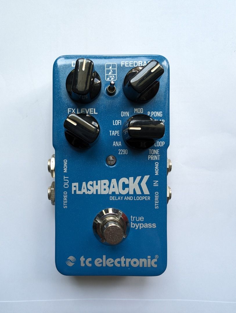 Flashback Delay and Looper TC Electronic, Hobbies & Toys, Music