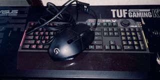 Gaming Mouse and Keyboard(Logitech G302/Asus TUF K1)
