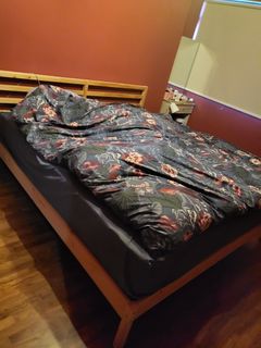 (Category: ) located in . Submitted by aniridia (Listing ID 1295185879, Image 1). Description: .