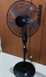 (Category: ) located in . Submitted by birdpangap (Listing ID 1295087216, Image 1). Description: .