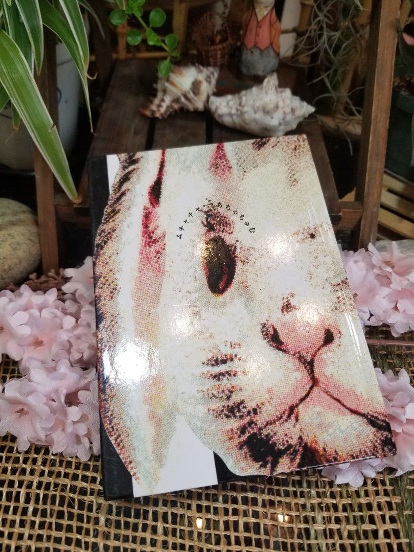 Japan Ahcahcum-muchacha Special Gift box ll Art work print 24pcs  