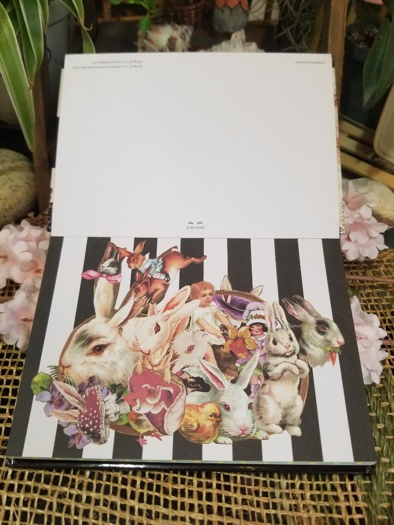 Japan Ahcahcum-muchacha Special Gift box ll Art work print 24pcs  