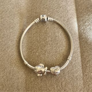 Pandora Moments Snake Chain Bracelet with Free Charms (Brand New)