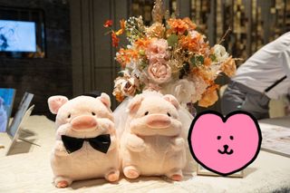 （分類：）位於 。 由 st_scrump 提交（商品編號 1295325039，圖片 1）。簡介： 。