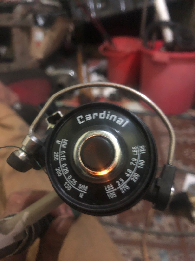 Abu cardinal 3, Sports Equipment, Fishing on Carousell