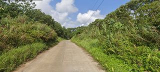 Agricultural/Residential Lor for Sale in Caliraya Cavinti Laguna. Along the Road.