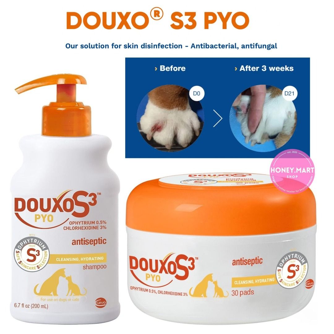 DOUXO S3 PYO Shampoo Antiseptic Pads for Pets Dog Cat Antifungal Pet Supplies Health Grooming on Carousell