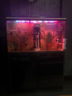 (Category: ) located in . Submitted by manoj5911 (Listing ID 1295229013, Image 1). Description: .