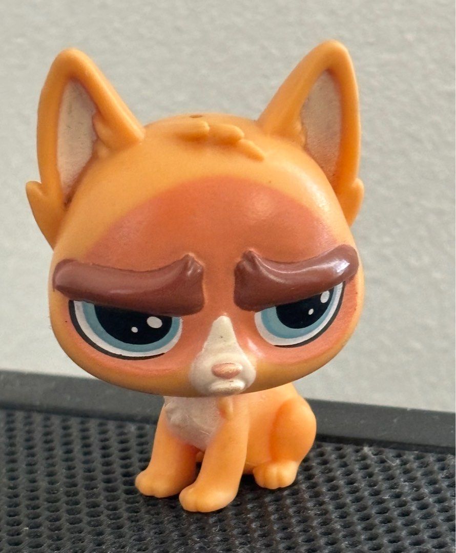 GRUMPY CAT #135 | LITTLEST PET SHOP LPS (Category: Designer & Blind Box Toys) located in Dasmarinas. Submitted by chumicollects (Listing ID 1295237879, Image 1). Description: ! AUTHENTIC FROM USA ! ! RFS: QUITTING ! ! NEGOTIABLE FOR SURE BUYERS ! PAYMENT: 💸 GCASH / MAYA 🚫 CASH ON DELIVERY 📦 BUYER SHOULDERS SF 😔 NO RUSH SHIPPING LOC: 📍DASMARIÑAS, CAVITE.