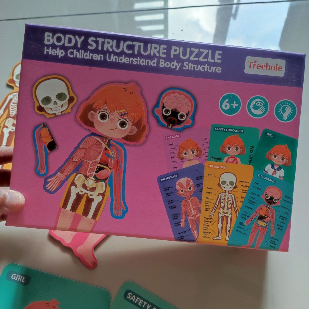 Human body parts puzzle games, Hobbies & Toys, Toys & Games on Carousell