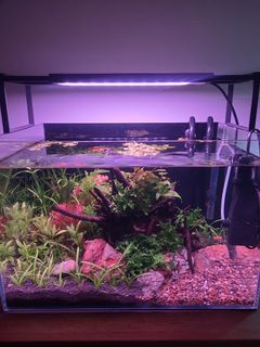 (Category: ) located in . Submitted by darrent85 (Listing ID 1295306469, Image 1). Description: .