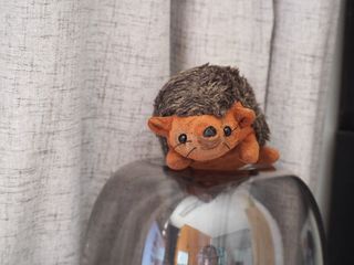 (Category: ) located in . Submitted by plushhedgehog (Listing ID 1295199794, Image 1). Description: .