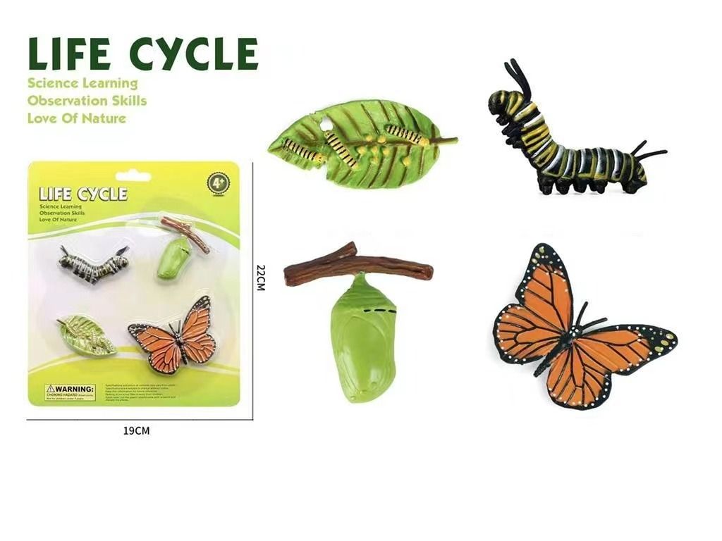 Butterfly life cycle toys cheap