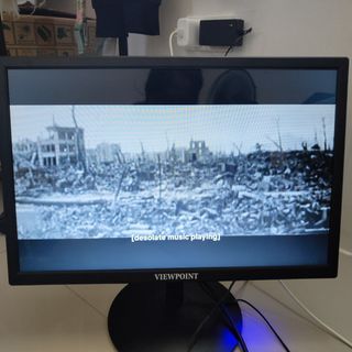 19-inch Viewpoint monitor (with HDMI cord)