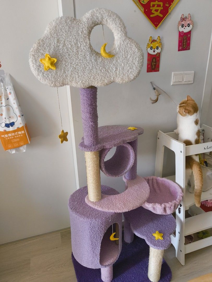 Cute cat tree, Pet Supplies, Homes & Other Pet Accessories on Carousell