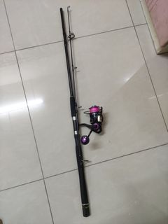 Daiwa fishing rod & reel, Sports Equipment, Fishing on Carousell