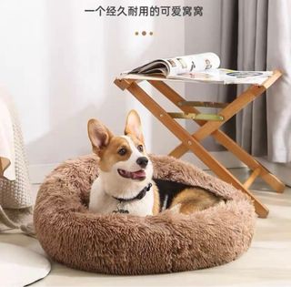(Category: ) located in . Submitted by nomnom.pets (Listing ID 1295356141, Image 1). Description: .