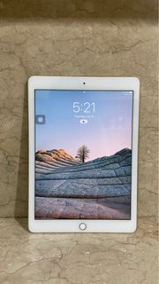 Mint Condition iPad Air 2 64GB