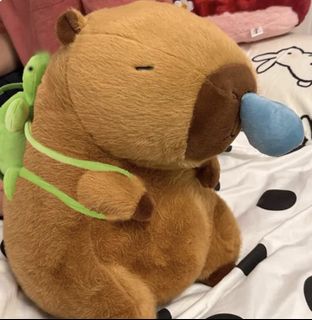 Affordable capybara plush For Sale, Toys & Games