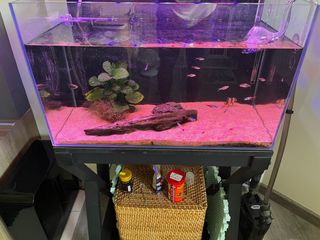 (Category: ) located in . Submitted by ben1975 (Listing ID 1295540205, Image 1). Description: .