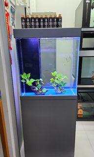 (Category: ) located in . Submitted by l77customtank (Listing ID 1295558267, Image 1). Description: .