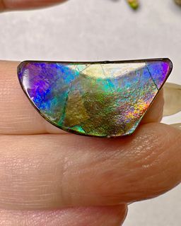 Canada đšđŠ Ammolite Stone đŁđ”đąđĄ With Pink Too đ€©64224420437379110