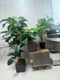（分類：）位於 。 由 mfwc123 提交（商品編號 1295526488，圖片 1）。簡介： 。