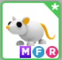 （分類：）位於 。 由 kram_shop 提交（商品編號 1295560543，圖片 1）。簡介： 。