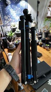 （分類：）位於 。 由 deepbluewhale 提交（商品編號 1295627417，圖片 1）。簡介： 。