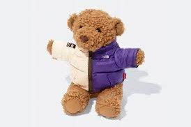 Supreme X North Face Teddy Bear, Hobbies & Toys, Toys & Games on ...
