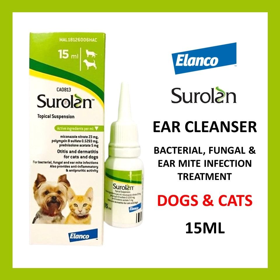 Surolan Ear Drops for cat & dog 15 ML (100 ORIGINAL), Pet Supplies, Health & Grooming on Carousell