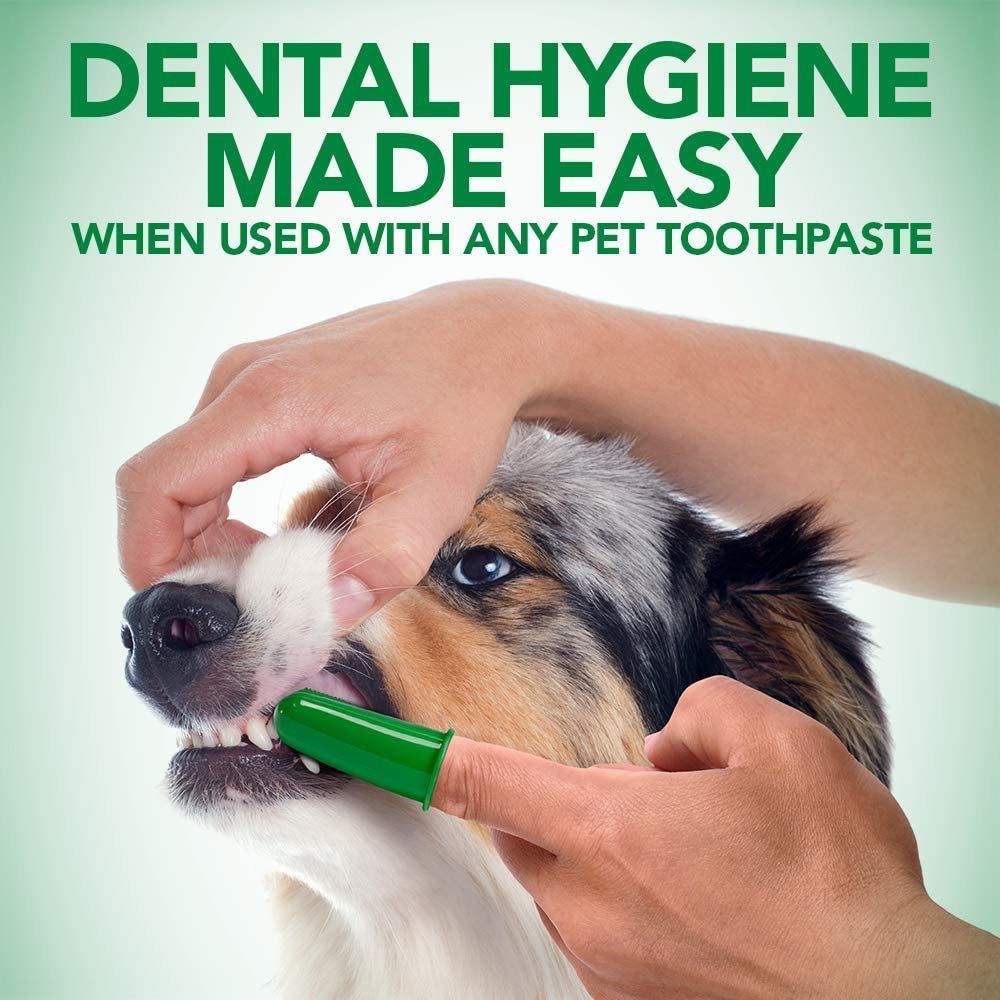 Vet s Best Dog Toothbrush Easy Teeth Cleaning for Dog Dental Care Perfect for Dogs and Cats Soft F Pet Supplies Health Grooming on Carousell