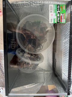 (Category: ) located in . Submitted by kaths (Listing ID 1290885950, Image 1). Description: .