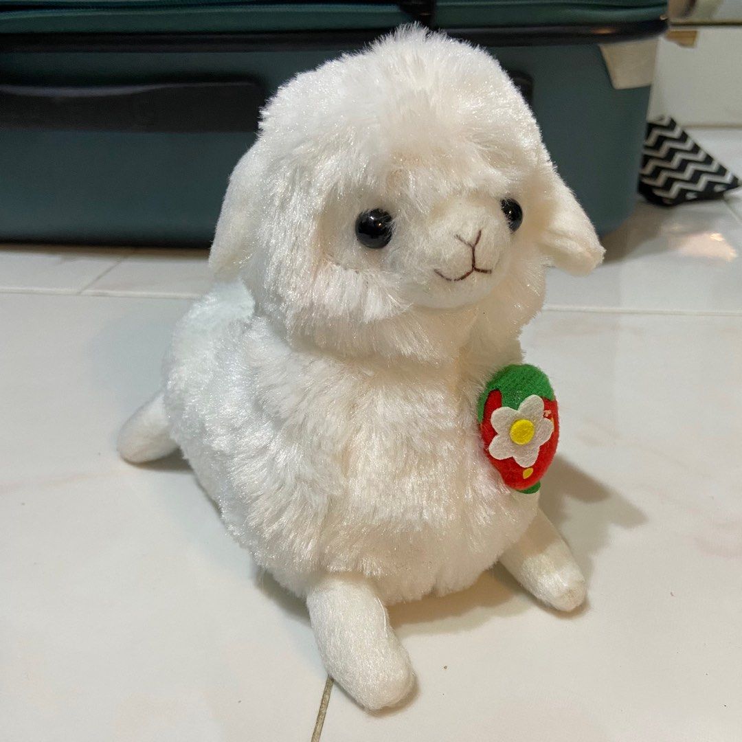 Baby alpacasso discount