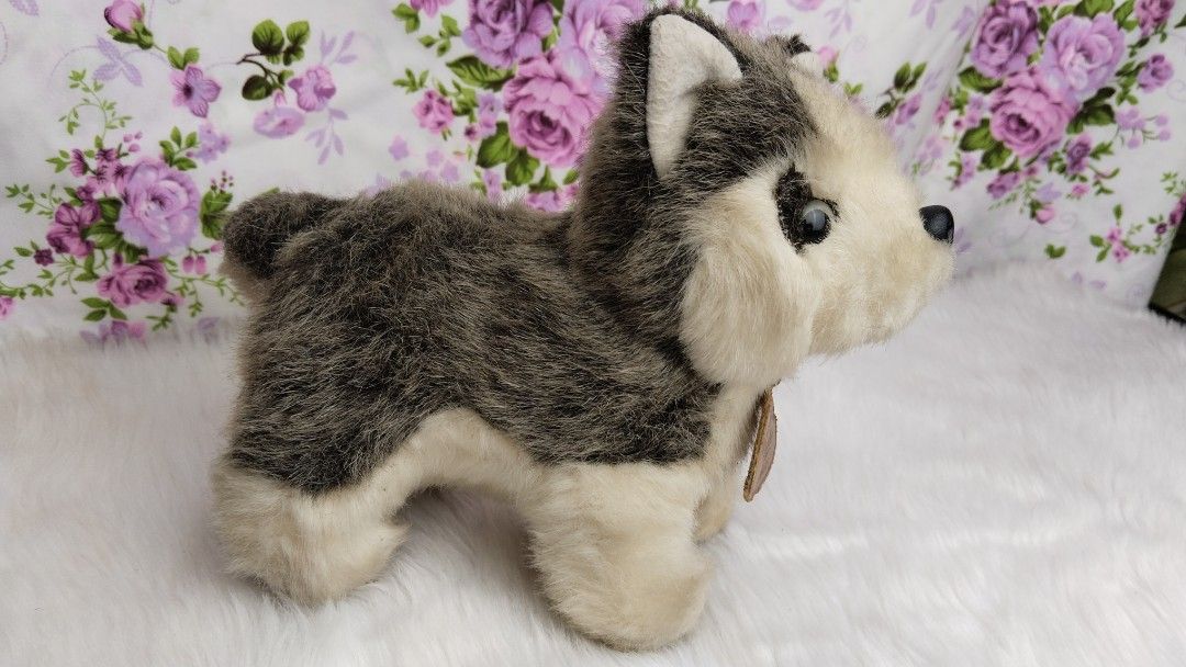 Excellent Realistic Husky plush (9 inch long) (Category: Plushies & Soft Toys) located in Navotas City. Submitted by tindahan.ni.lyn (Listing ID 1290921812, Image 2). Description: needs cleaning.. Please Read Before Making Offer Location: Navotas City, Metro Manila -Items Are Crossposted -Pay After Invoice Sent + SF -No Reservation -please manage your expectations! -all items from our shop are preloved, second hand or like new with papertag -some