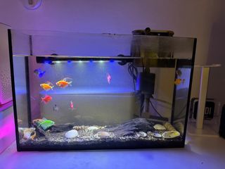(Category: ) located in . Submitted by dangcy (Listing ID 1290943958, Image 1). Description: .