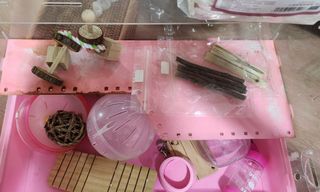 (Category: ) located in . Submitted by thegifts (Listing ID 1290812641, Image 1). Description: .