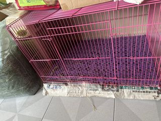 (Category: ) located in . Submitted by sg.cheapstore (Listing ID 1290886507, Image 1). Description: .